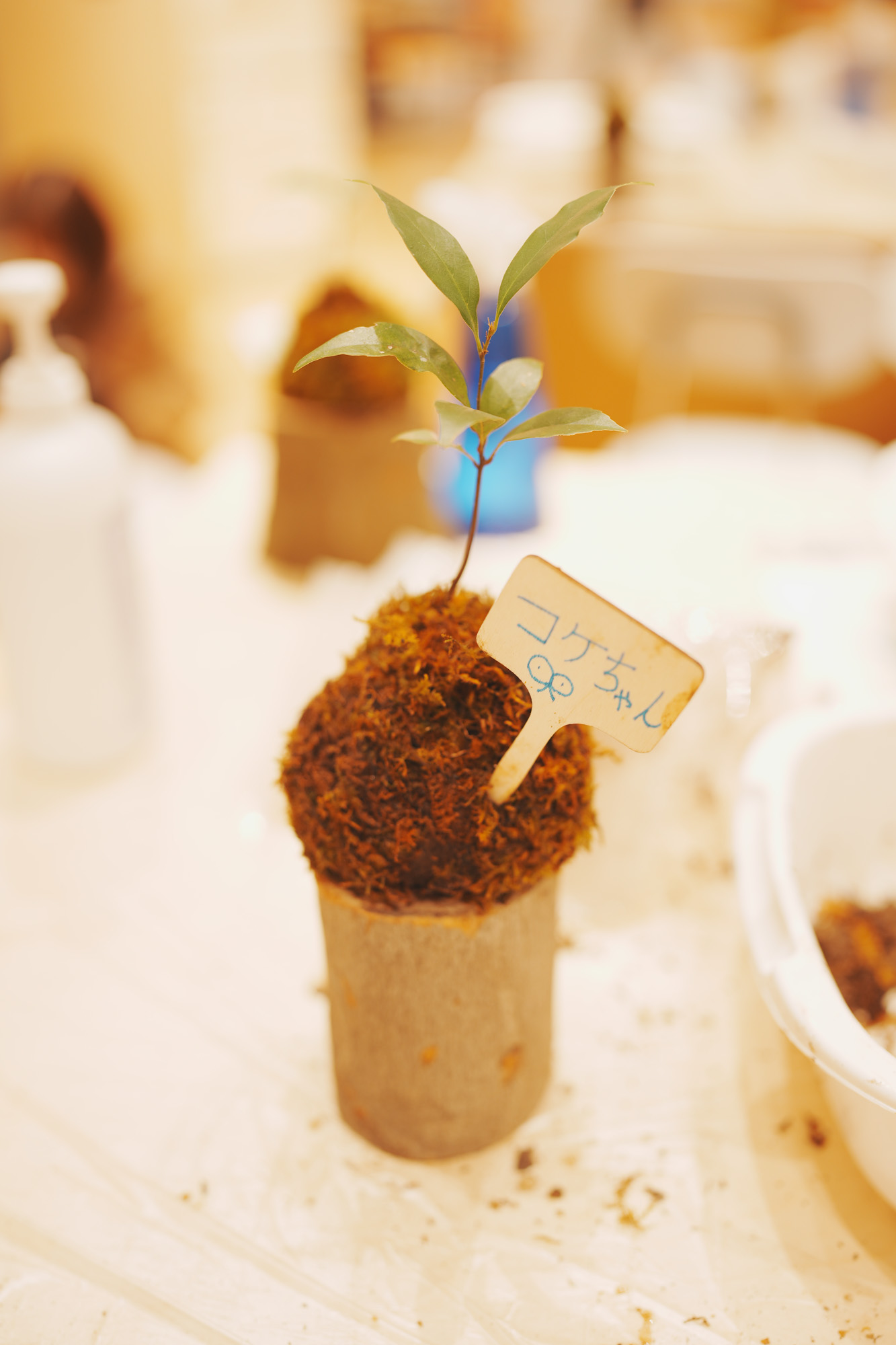 ワークショップの写真