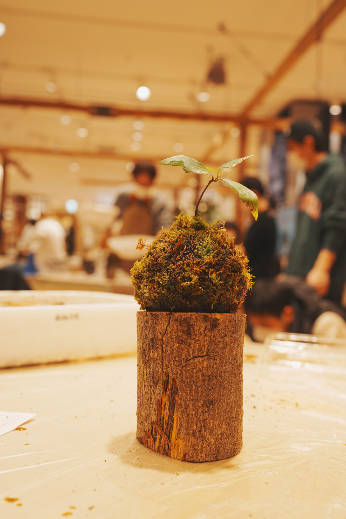 ワークショップの写真